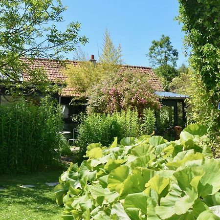 Chambres D'Hotes, Gites La Petite Madeleine La Madelaine-sous-Montreuil Exteriör bild